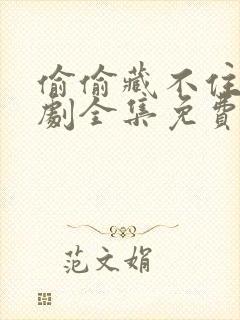 偷偷藏不住广播剧全集免费