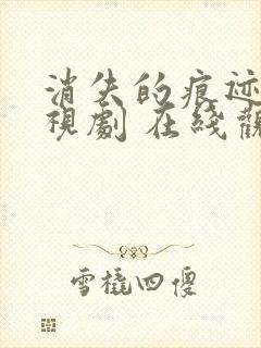 消失的痕迹 电视剧 在线观看封面