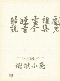 归晓电视剧在线观看全集免费高清封面