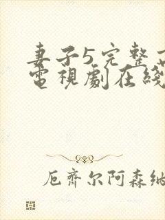 妻子5完整高清电视剧在线看中文封面