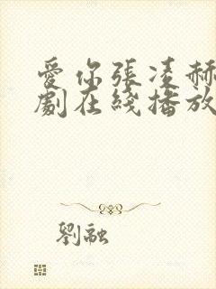 爱你张凌赫电视剧在线播放