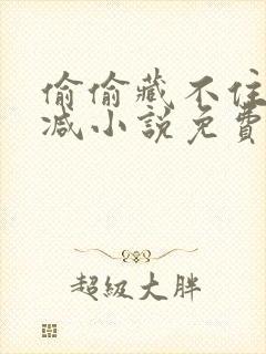 偷偷藏不住无删减小说免费阅读完整版