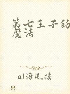 第七王子的转生魔法