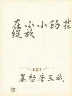 在小小的花蕾中绽放