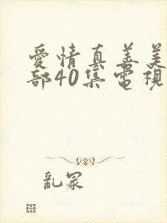 爱情真善美第二部40集电视剧