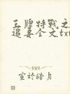 王牌特战之权少追妻全文txt下载