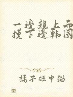 一边亲上面一边摸下边韩国