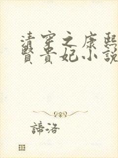 清穿之康熙的淑贤贵妃小说封面