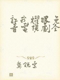 许我耀眼免费观看电视剧全集