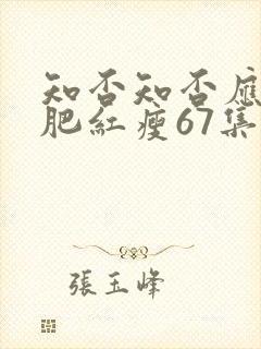 知否知否应是绿肥红瘦67集封面