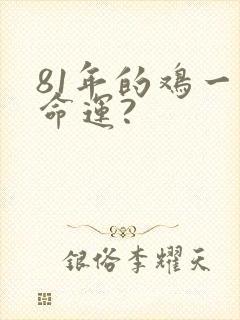 81年的鸡一生命运?