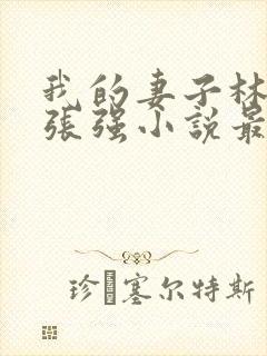 我的妻子林慧茹张强小说最新章节阅读