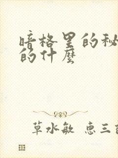 暗格里的秘密讲的什么