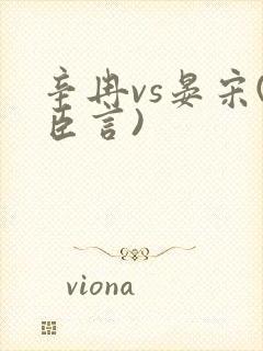 辛冉vs晏宋(臣言)封面