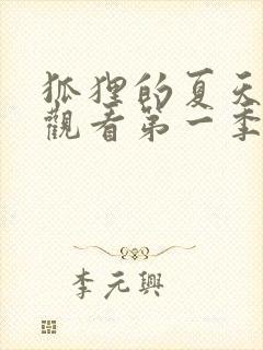 狐狸的夏天免费观看第一季封面