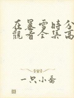 在暴雪时分免费观看全集高清