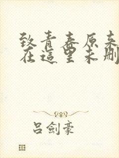 致青春原来你还在这里未删减封面