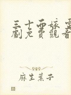 三十而嫁 电视剧免费观看全集封面