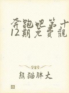 奔跑吧第十三季12期免费观看完整版