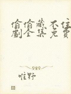 偷偷藏不住电视剧全集免费观