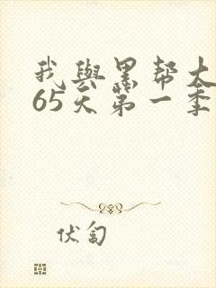 我与黑帮大佬365天第一季