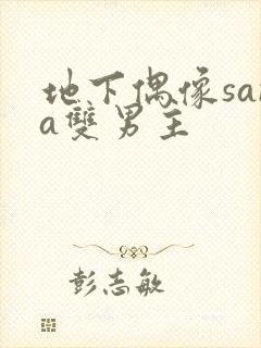 地下偶像sana双男主