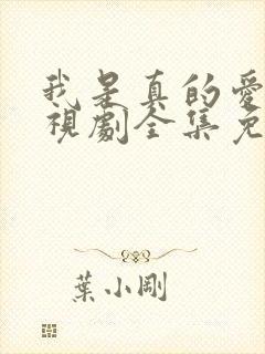 我是真的爱你电视剧全集免费观看