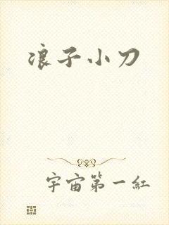 浪子小刀