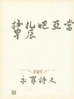 挣扎吧亚当军君星辰