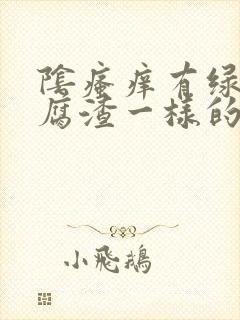 阴瘙痒有绿色豆腐渣一样的东西封面