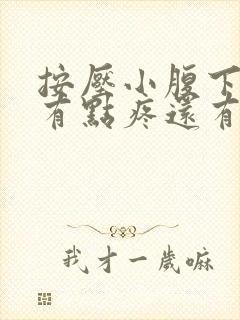 按压小腹下面会有点疼还有尿意