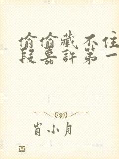 偷偷藏不住桑稚段嘉许第一次封面