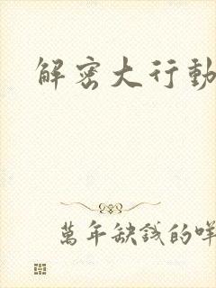 解密大行动封面
