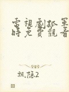 电视剧孤军十二时免费观看国语版