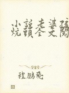 小说老婆孩子热炕头全文阅读