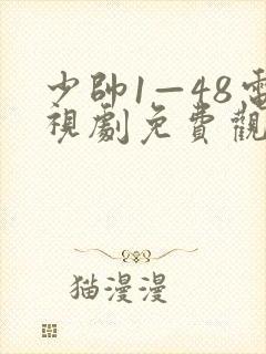 少帅1—48电视剧免费观看