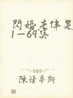 闪婚老伴是豪门1—69集