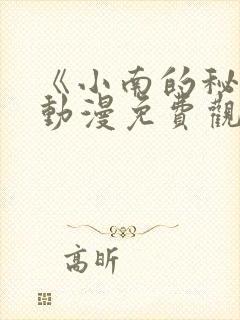 《小南的秘密》动漫免费观看在线封面