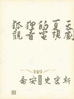 狐狸的夏天免费观看电视剧完整版