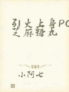 引火上身POP芝麻糖丸