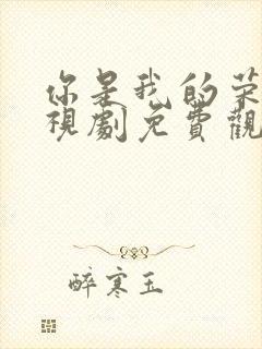 你是我的荣耀电视剧免费观看完整版高清