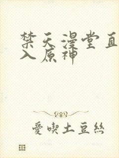 禁天漫堂直接进入原神