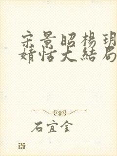 宋景昭杨玥薇林婧恬大结局封面