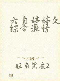 六月婷婷久久久综合激情