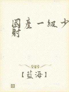 国产一级少妇内射