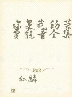 你是我的荣耀免费观看全集完整版