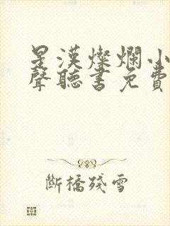 星汉灿烂小说有声听书免费