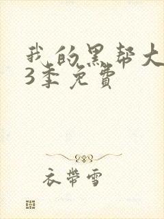 我的黑帮大佬第3季免费