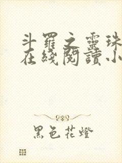 斗罗之灵珠神剑在线阅读小说封面