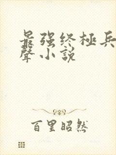 最强终极兵王有声小说